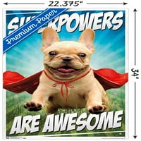 Avanti - Щастлив плакат за стена на кучета с бутални щифтове, 22.375 34
