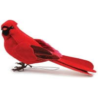 Гъбена Птица С Тел5 - Мъжки Кардинал, Групова Опаковка От 6-