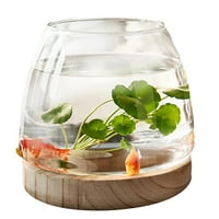 Хидропонична растителна ваза