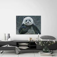 Панда с бамбук живопис печат върху увити платно