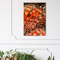Уинууд студио Морски и крайбрежни картини 'зебра лъвска риба от Дейвид Флийтъм' Морски Живот-червено, кафяво